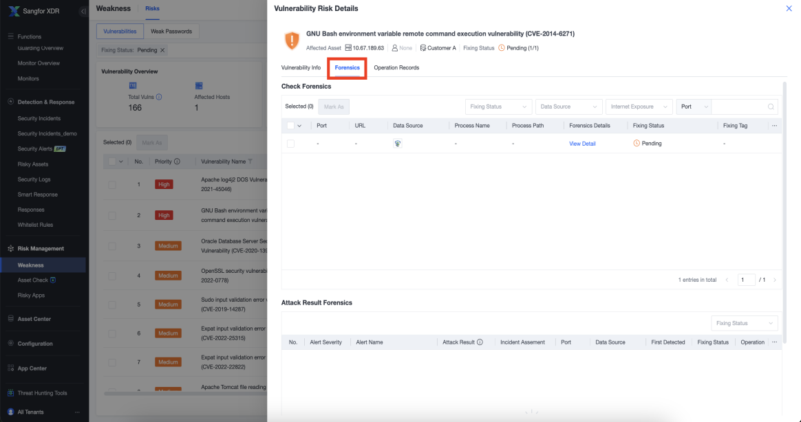 Vulnerability Risk Details showing Cloud Forensics and remediation information
