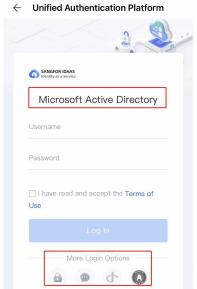 Microsoft Active Directory login screen