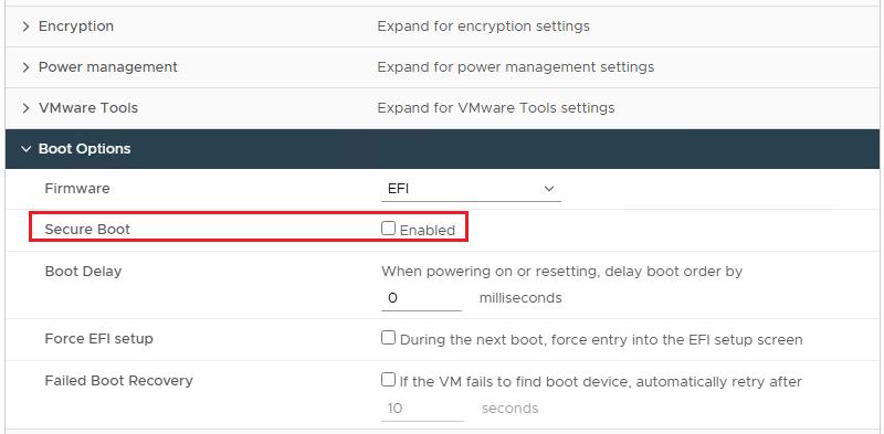 VMware Boot Options: ยกเลิกการเลือก Secure Boot Enabled