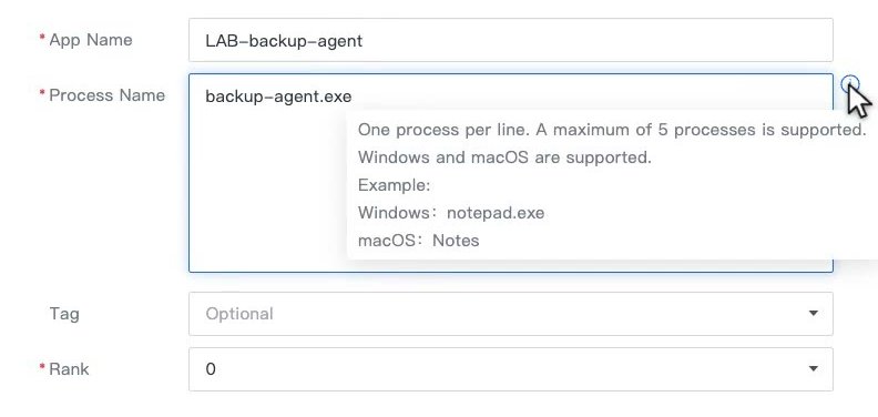 ฟอร์ม Add ของ Processes พร้อมคำอธิบายว่ากรอกได้บรรทัดละหนึ่ง Process สูงสุด 5 Process รองรับ Windows และ macOS