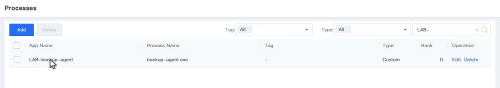 หน้ารายการ Processes ค้นหาแล้วพบรายการ Custom ที่เพิ่มใหม่