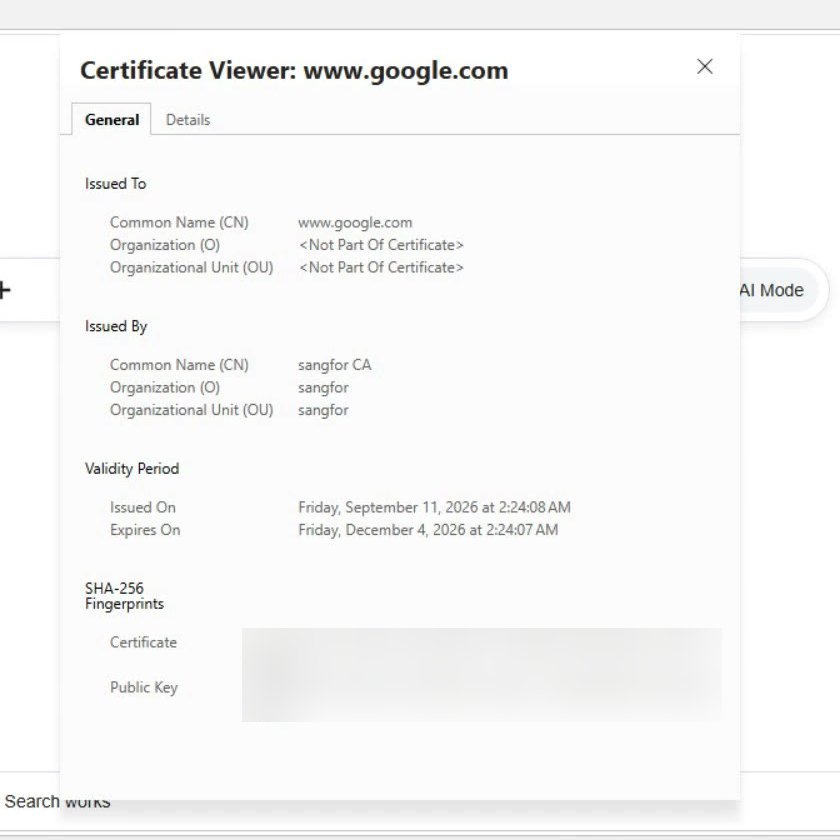 Certificate Viewer แสดง Issued To เป็นชื่อเว็บ และ Issued By เป็น sangfor CA